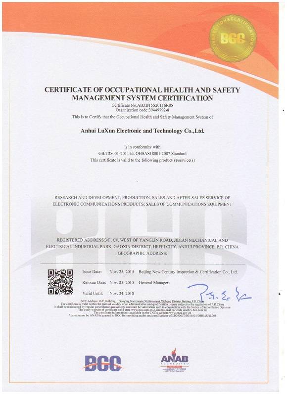 Certificate of occupational health and safety management system certification